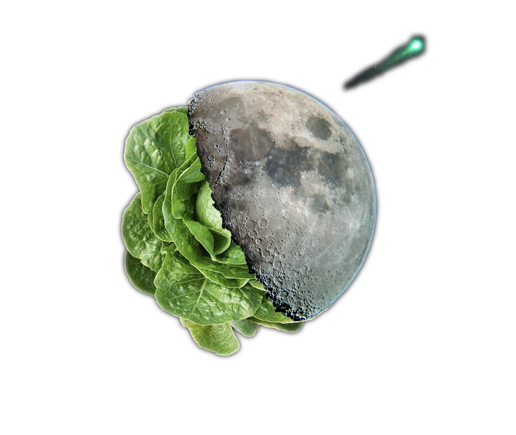 Space Lettuce Digital